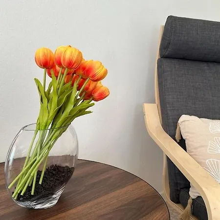 Apartmán Dimora San Bernardino *